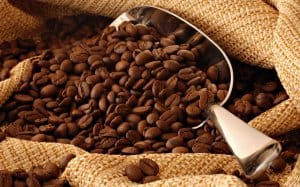 Cà phê Moka là gì? Tại sao gọi là cafe NỮ HOÀNG – Bonjour Coffee
